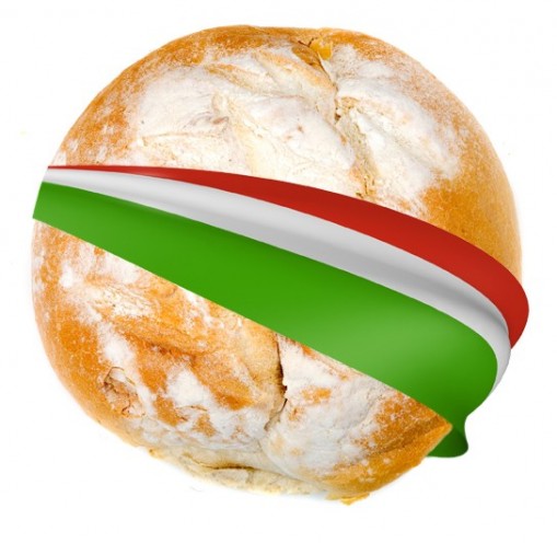   - Családi Piknik